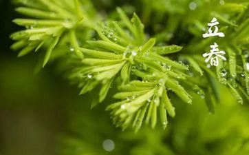 2023年立春时刻几点躲春？立春为什么打春牛？