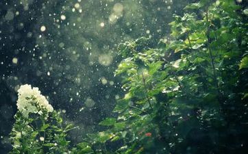 2023年2月19日雨水是倒闭好日子吗 2023年2月19日适合倒闭吗