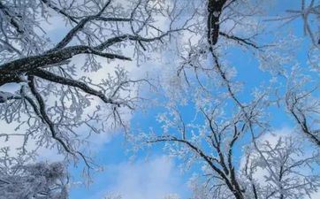 2022年小雪出世是童子命吗？童子命有什么？