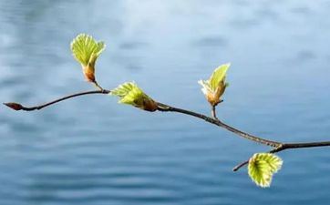 2023年立春几点到几点 立春有什么风俗