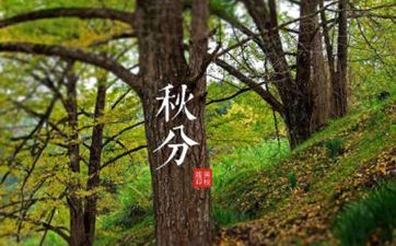 秋分节气的风俗 团聚一同庆祝秋分