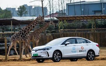 从八月七日开端 这3个星座吉星高照 不要偷闲 抓住机会吧