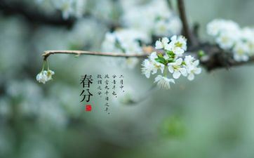 2023年春分节气是哪一天 有哪些风俗活动？