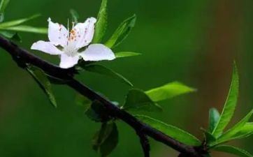 2023年立春是几月几号 2023年什么时候立春