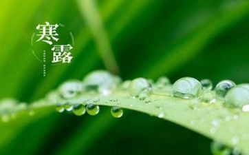 2022年什么时候寒露 寒露是几月几号2022年