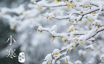 2023年1月5日小寒成婚好欠好？小寒有哪些成婚吉时？