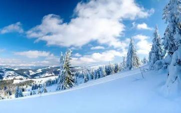 2022年大雪节气宜忌查询 这天日子好不好