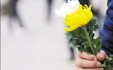 端午节为什么要挂艾草 清明插柳端午插艾