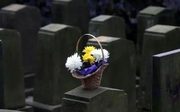 2022年清明节放假组织时间表 一般放假三天