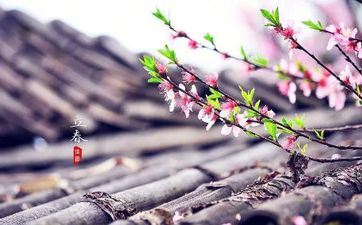 2024年是一个春仍是两个春 2024年是有两个立春