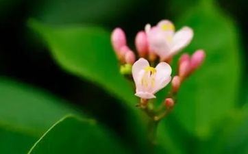 2022年春分往后还会不会有倒春寒