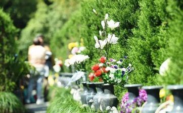 2022年清明节高速免费么 2022年高速免费告诉