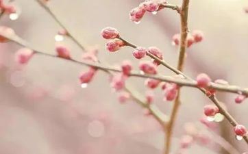 躲春躲立春的一分钟能够吗