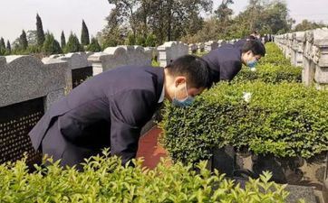 清明能够给坟除草吗