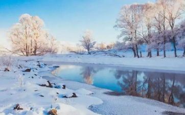 2022年冬至汤圆的做法 冬至的来历