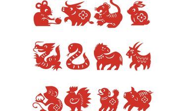 十二属相2022年作业排行榜 一往无前谁与争锋