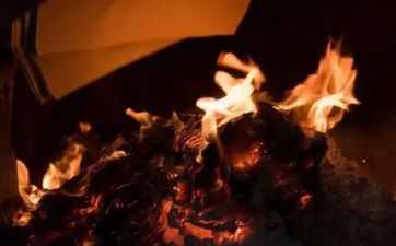 清明节去墓地能不能带桃树枝？不是清明节能够去墓地烧纸吗