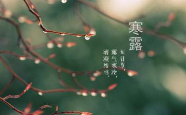 为什么寒露节气晚上七点后不吃饭