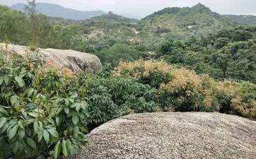 清明节蚕花会是什么 留念蚕花娘娘请求丰盈