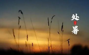 处暑节气的耕耘活动及摄生办法