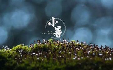 小暑合适搬迁吗 搬迁之后要注意什么