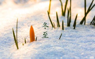 2022年冬至几月几号几分几秒 冬至吃什么