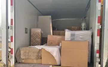 小盆发财树摆放方位 招财树改运化煞招财来