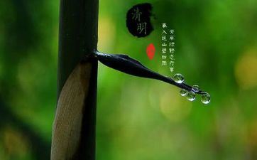 2022清明节去目标家好欠好