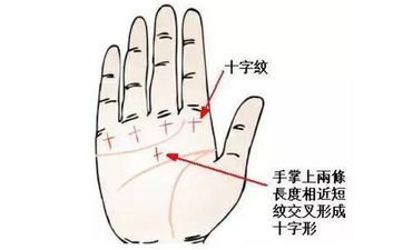 女性最好的假断掌手 难得一见好手相