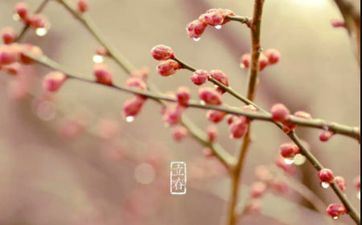 2024立春躲星什么意思 立春躲星时刻和办法