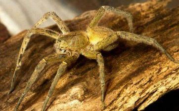 为什么不能捡伞