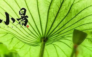 2022年7月7日小暑五行穿衣配色 今日吉祥色彩调配