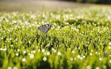 2022年白露几点几分几秒 天干物燥留意解燥养肺