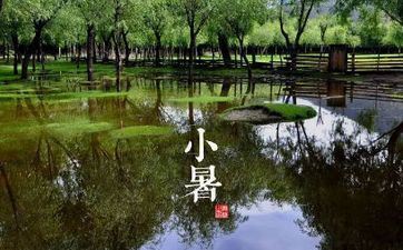 小暑节气往后，迎来吉星高照，会时运亨通，福财两旺的三大星座