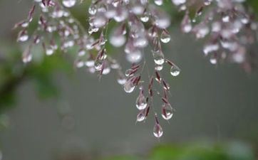 本年寒露日几点几分是寒露时辰？寒露一般气温多少