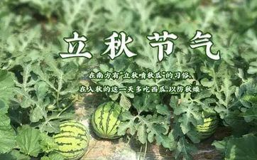 为什么立秋后不能吃西瓜 立秋不能做什么