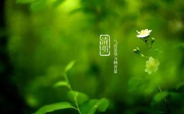 清明节当天能不能洗头？上坟前能够洗头吗