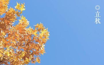 立秋当天是庚日 立秋当天是庚日怎样算末伏