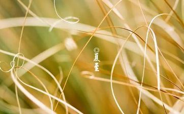 2022年2月19日雨水是店肆开业的黄道好日子吗