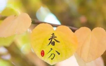 2022春分时一般温度是多少