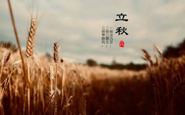 立秋前一天是绝日子吗 立秋合适做什么菜