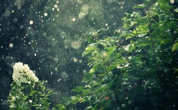 清明祭祀时刻什么时分最好 跟从自己的状况 清明祭祀时刻什么时分最好 跟从自己的状况