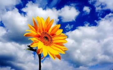 2022年立夏节气是哪一天