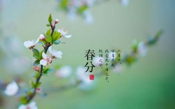 春分节气的传统风俗及摄生准则 春分节气的传统风俗及摄生准则
