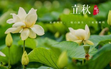 立秋节气的风俗及摄生关键