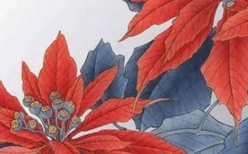 2022年寒露能够理发吗？节气理发好不好？