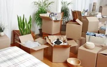 2022年掌握关键，披荆斩棘的三大属相