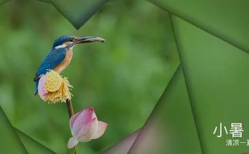 大暑节气的意义是什么意思 大暑节气诗词赏析