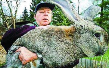 兔女蛇男 属兔女属蛇男共处主张 兔女蛇男 属兔女属蛇男共处主张