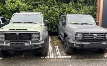 2022年打破惯例，逾越自我的三大属相